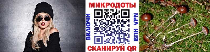 Псилоцибиновые грибы мицелий  Южно-Сахалинск 