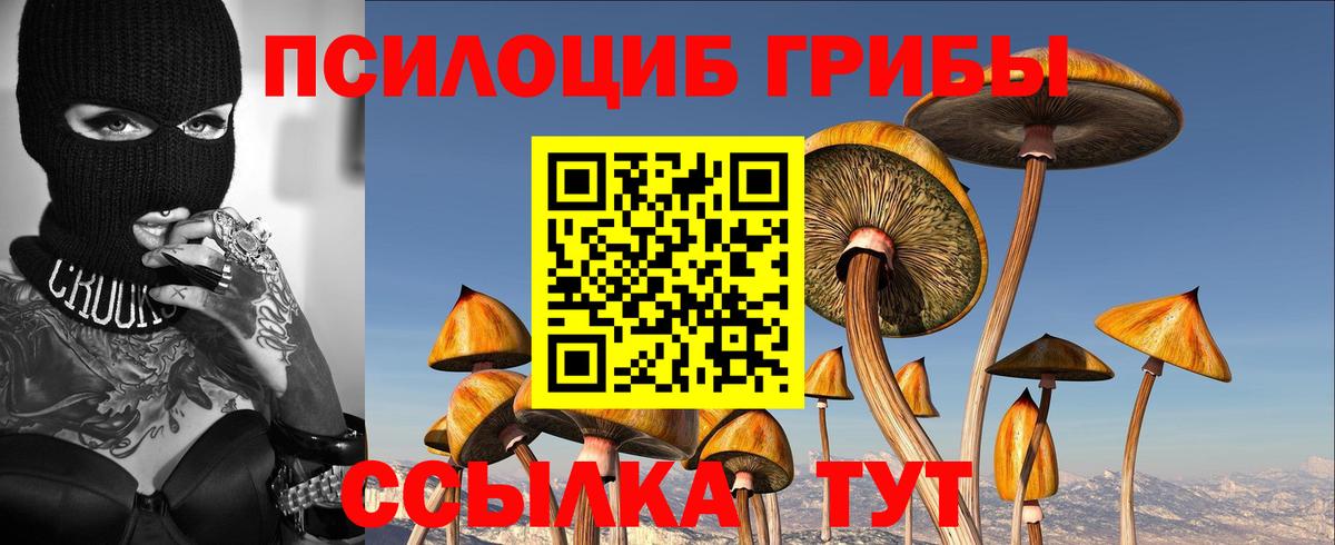 Псилоцибиновые грибы прущие грибы  Псилоцибиновые грибы Psilocybe  Вход с VPN  Южно-Сахалинск 